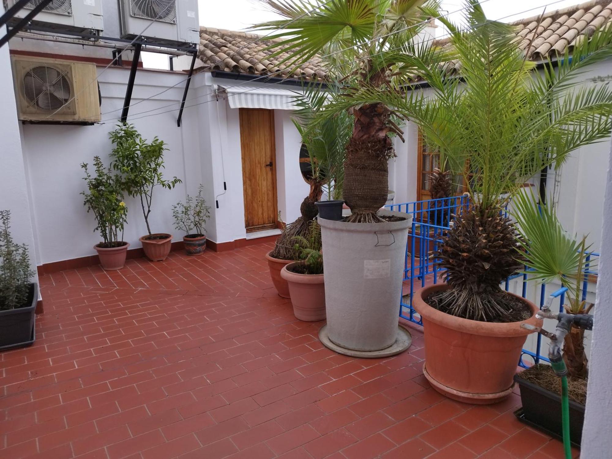 Patio De La Escalera Villa Córdoba Kültér fotó